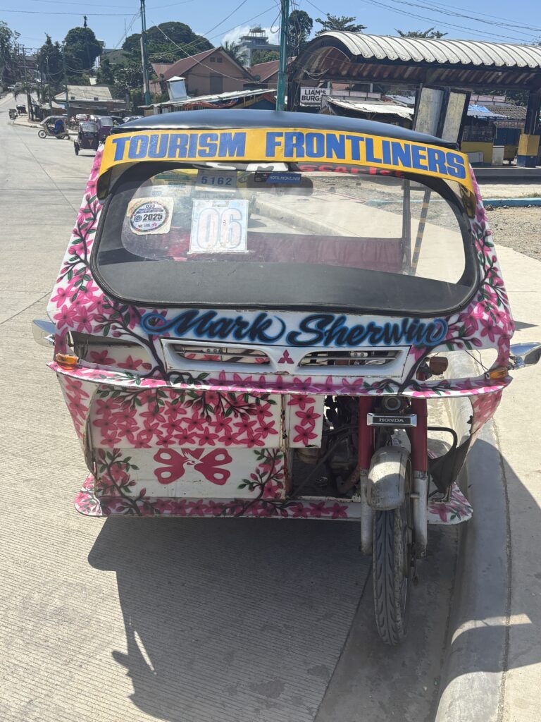 Tricycle transportation